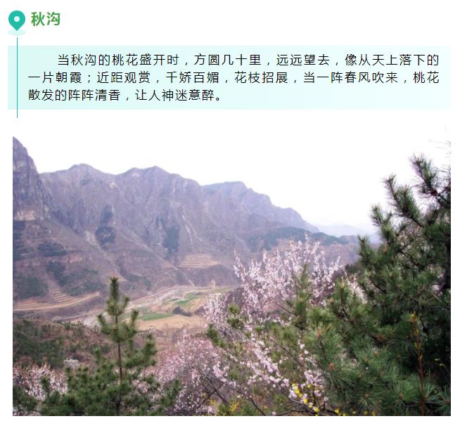新乡南太行|三月春风起，桃花朵朵开！