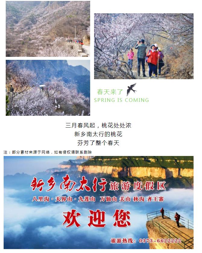 新乡南太行|三月春风起，桃花朵朵开！