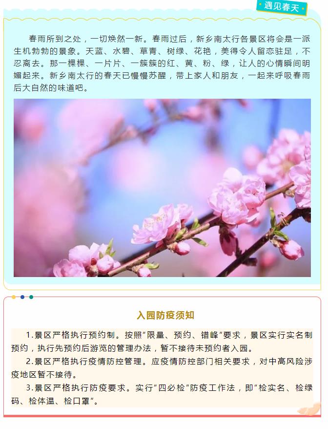 新乡南太行|春雨润太行，赏花踏青时