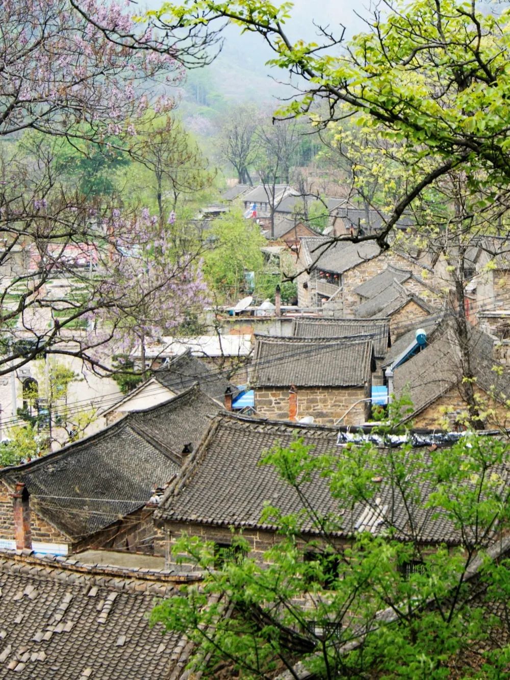 春已至 花已开|新乡南太行的春天你值得去走一走......