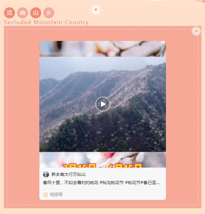 春已至 花已开|新乡南太行的春天你值得去走一走......