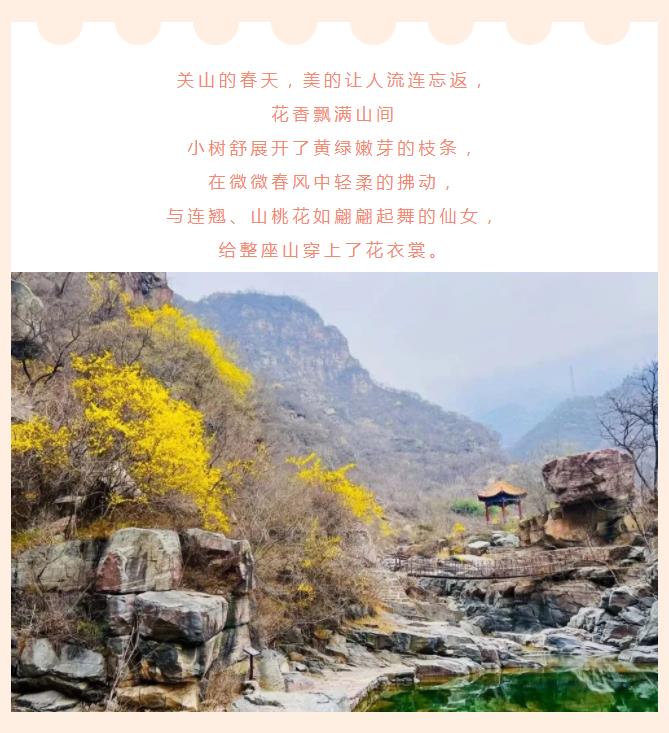 春已至 花已开|新乡南太行的春天你值得去走一走......