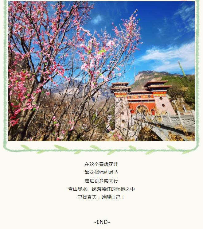 新乡南太行|春风和畅，不负花期