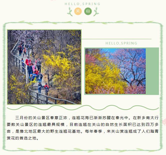 新乡南太行|春风和畅，不负花期