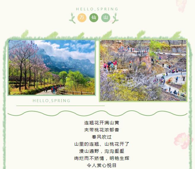 新乡南太行|春风和畅，不负花期