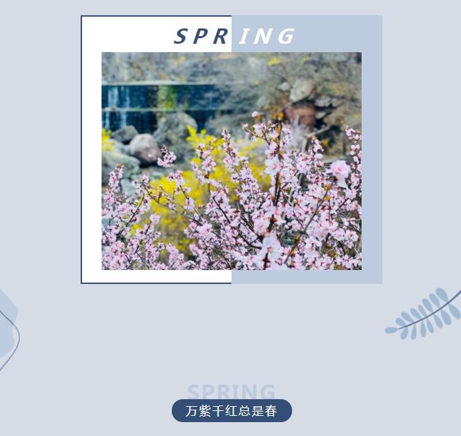 三月的新乡南太行太美了，忍不住想和你分享