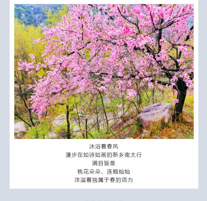 三月的新乡南太行太美了，忍不住想和你分享