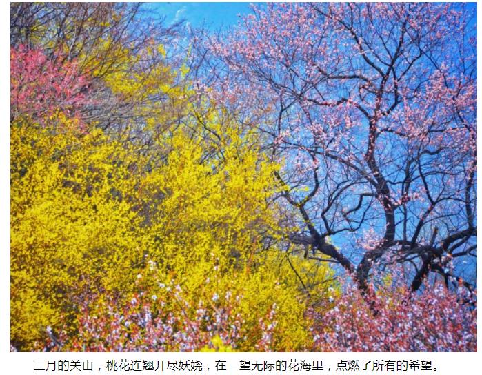 新乡南太行|春风十里，去看那花花世界，让你独享春日繁华！