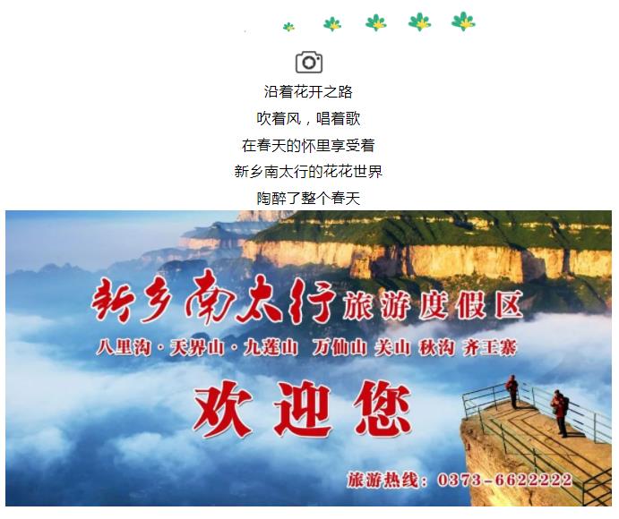 新乡南太行|春风十里，去看那花花世界，让你独享春日繁华！