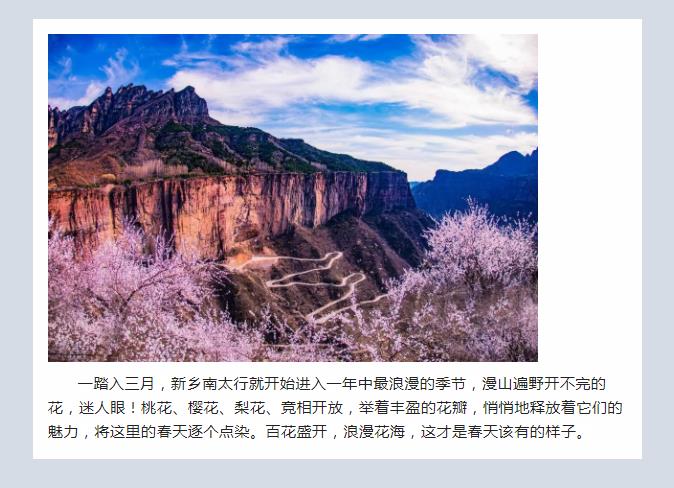 新乡南太行|带你“云”游花海，你追寻的春天在这里