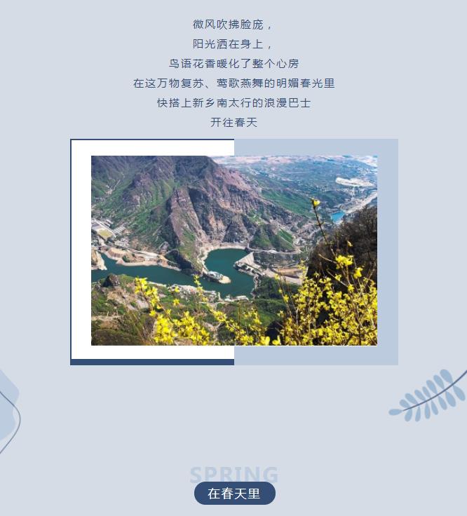 新乡南太行|带你“云”游花海，你追寻的春天在这里