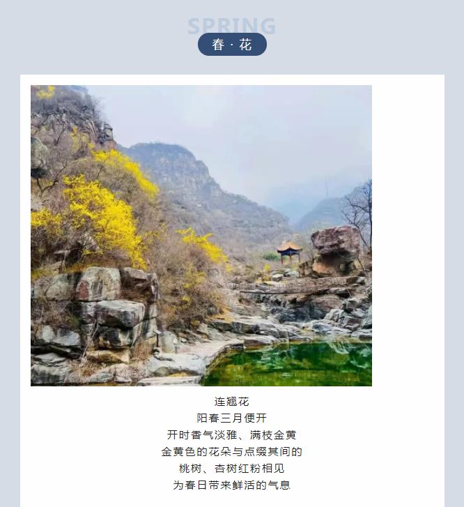 新乡南太行|带你“云”游花海，你追寻的春天在这里
