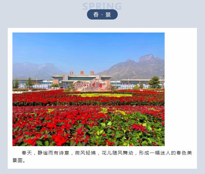 新乡南太行|带你“云”游花海，你追寻的春天在这里