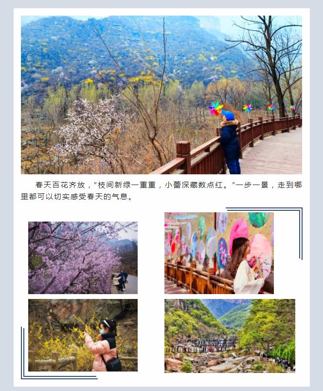 新乡南太行|带你“云”游花海，你追寻的春天在这里