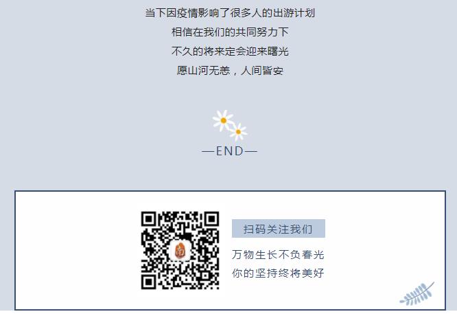 新乡南太行|带你“云”游花海，你追寻的春天在这里