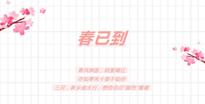 新乡南太行|想给你点“颜色”看看