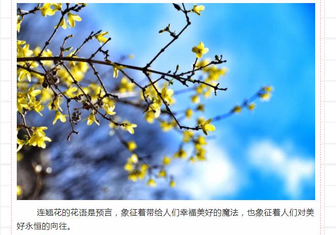 新乡南太行|想给你点“颜色”看看