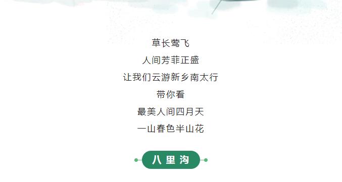 新乡南太行|满园春色关不住 一山春色半山花