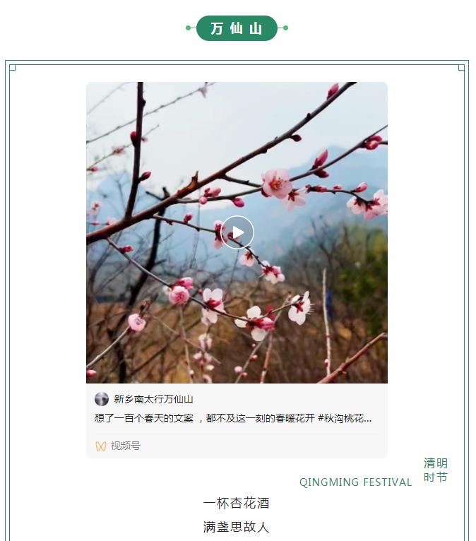 新乡南太行|满园春色关不住 一山春色半山花