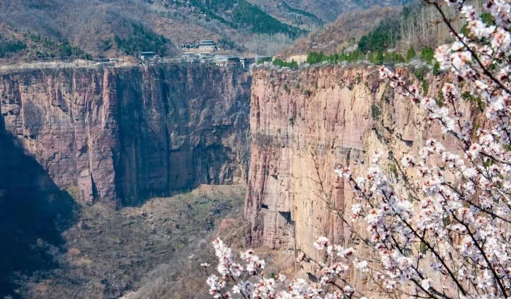新乡南太行|满园春色关不住 一山春色半山花
