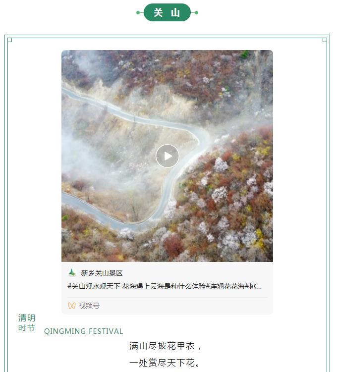 新乡南太行|满园春色关不住 一山春色半山花