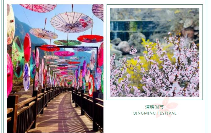 新乡南太行|满园春色关不住 一山春色半山花