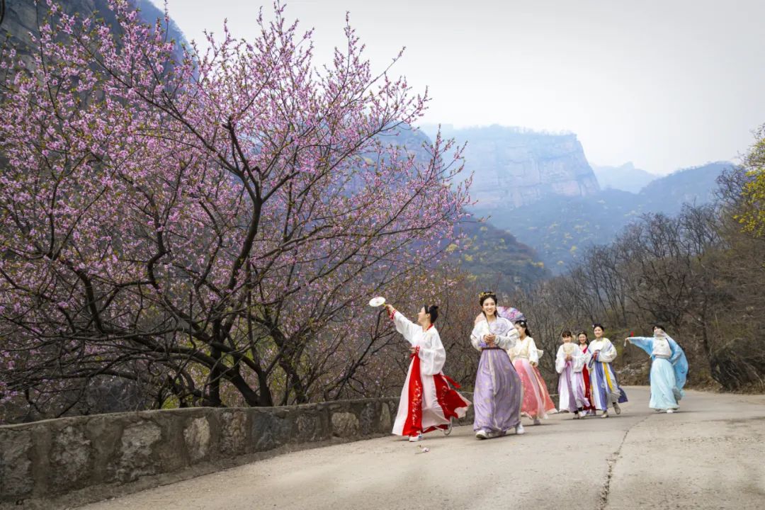 新乡南太行|满园春色关不住 一山春色半山花