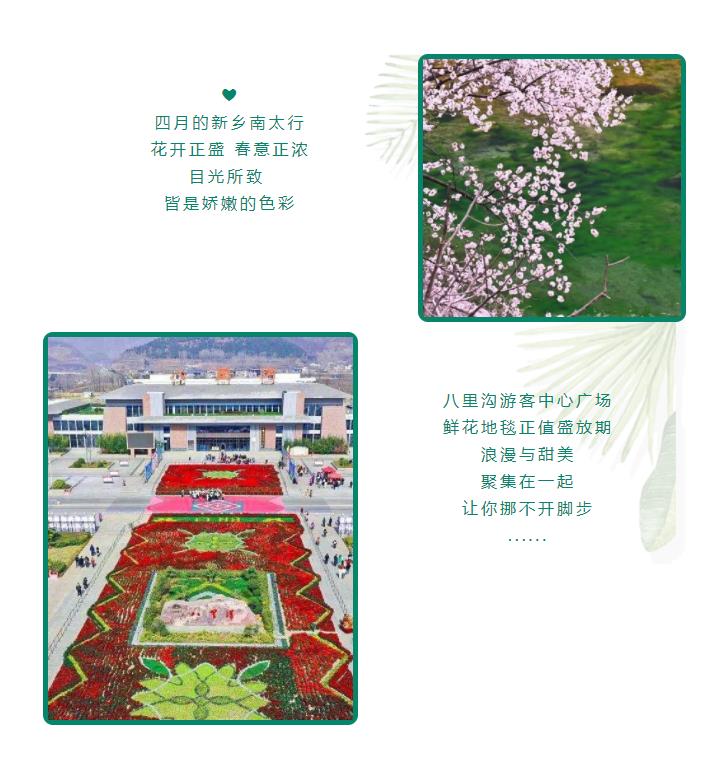 新乡南太行为你送上一份“云游套餐”！！！