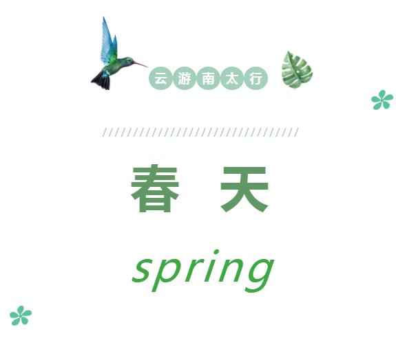 新乡南太行为你送上一份“云游套餐”！！！