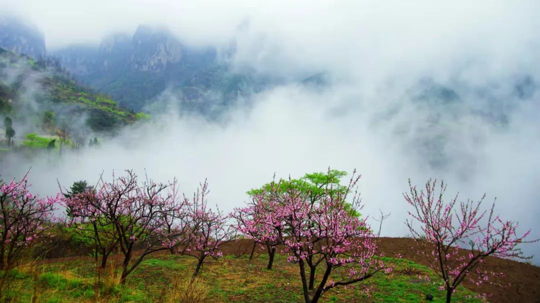 新乡南太行|雨后的云海盛景，是否是你心中曾经不断追逐的诗和远方？