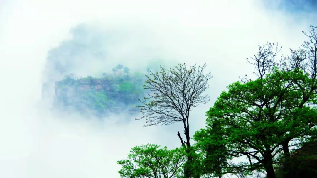 新乡南太行|雨后的云海盛景，是否是你心中曾经不断追逐的诗和远方？