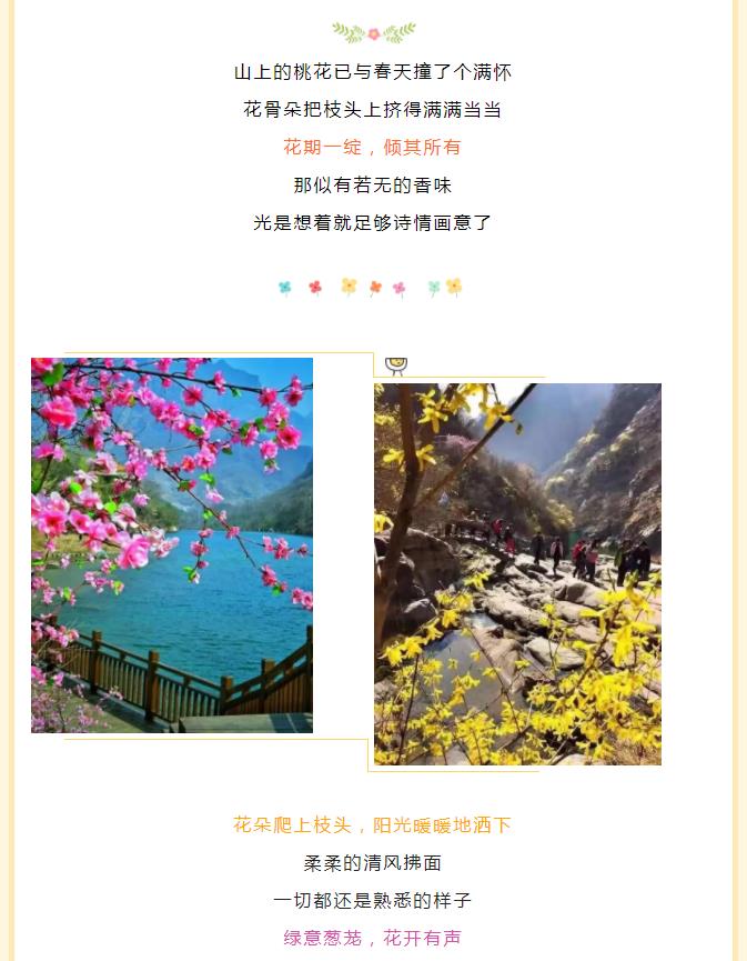 听！这是春天的声音......