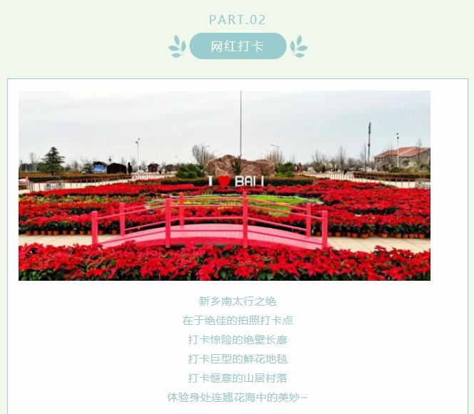 “云”游新乡南太行|芳菲四月花似锦,正是人间好时节