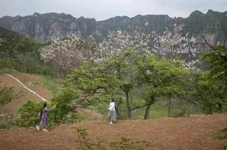 慧眼识太行：初夏时节美丽的秋沟