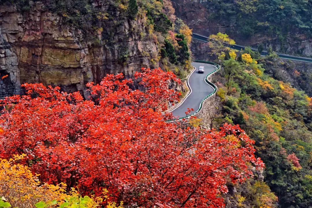 重磅消息 | 文化和旅游部推出新乡南太行最美秋红之旅旅游线路