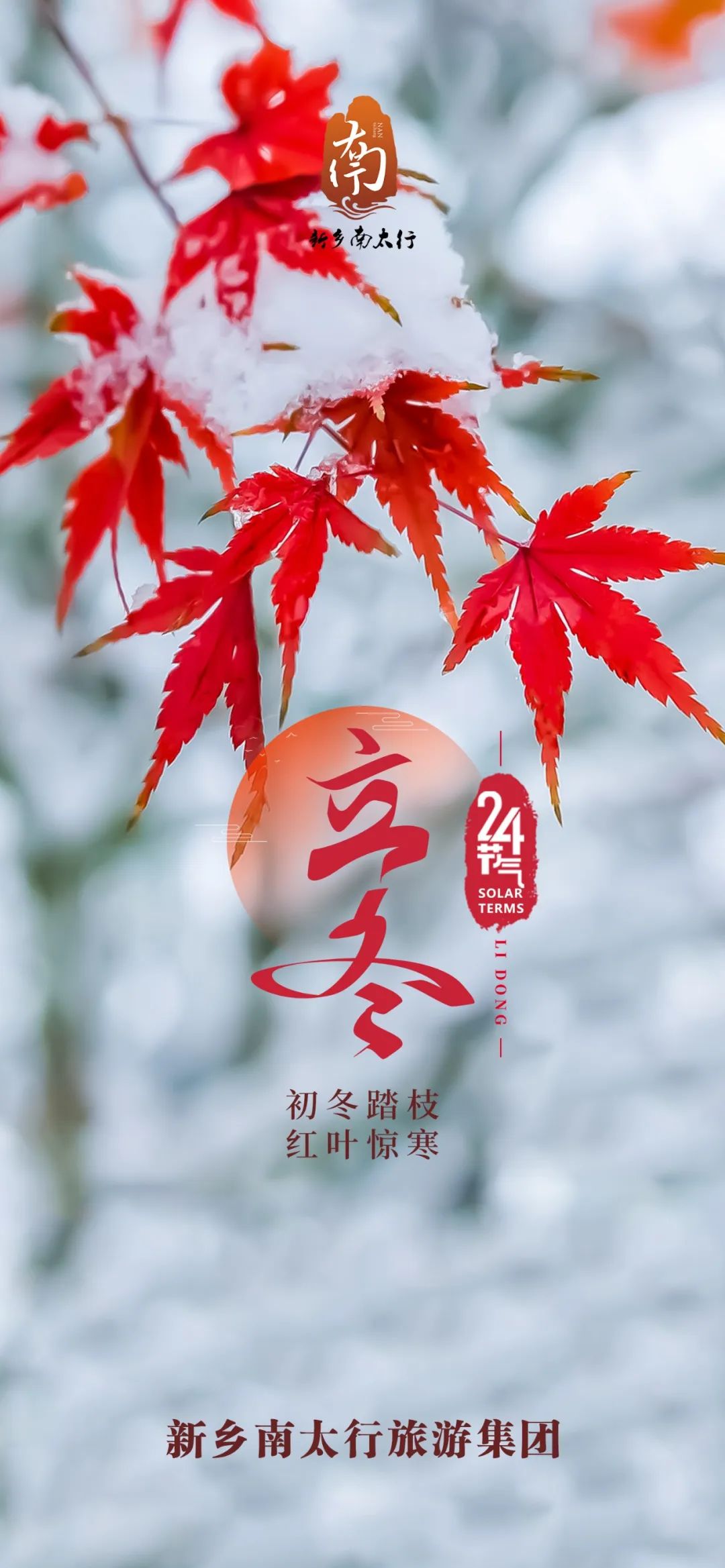 立冬|新乡南太行：初冬踏枝 红叶惊寒