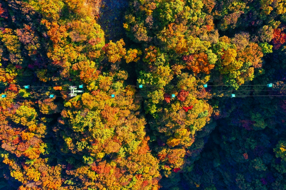 新乡南太行|送你一份美图，定格绝色秋景