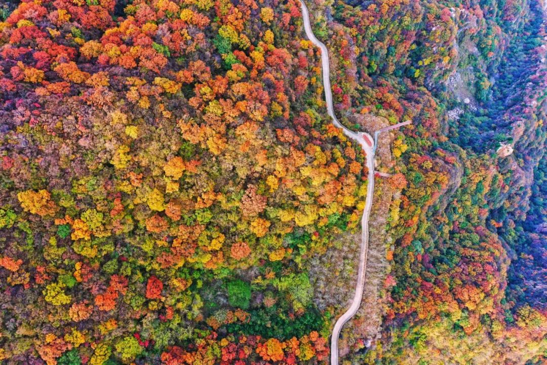 十一月的新乡南太行，不可辜负的金秋盛景