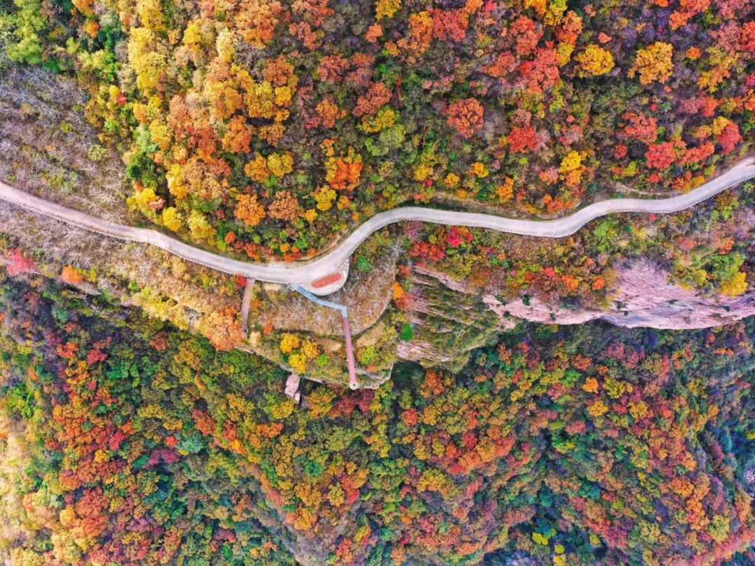十一月的新乡南太行，不可辜负的金秋盛景