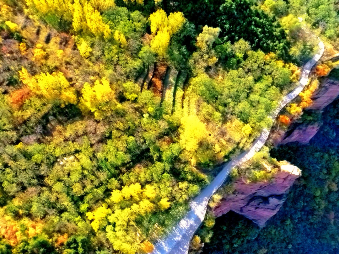 十一月的新乡南太行，不可辜负的金秋盛景