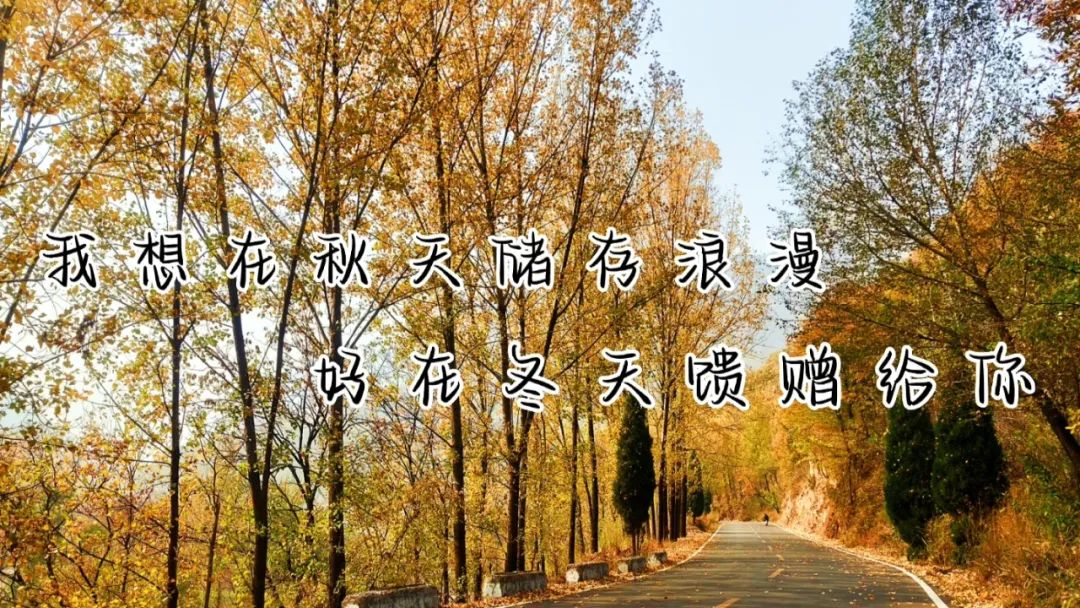 新乡南太行|深秋美景拍了那么多，朋友圈的文案准备好了吗？