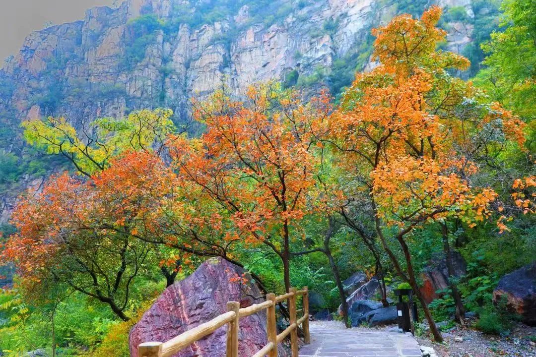 “太行美如画 秋色别样红”辉县旅游抖音短视频大赛开始了~千元大奖只等你来!