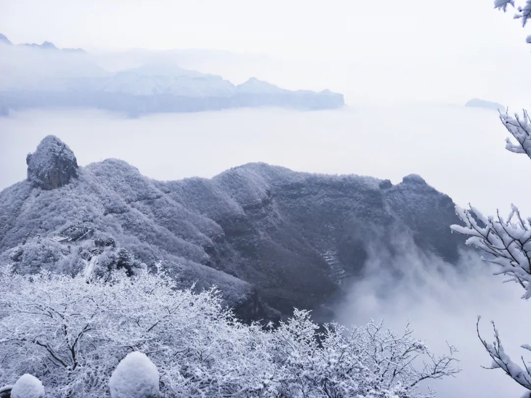 新乡南太行|人间一场烟火，你曾盛开过.....