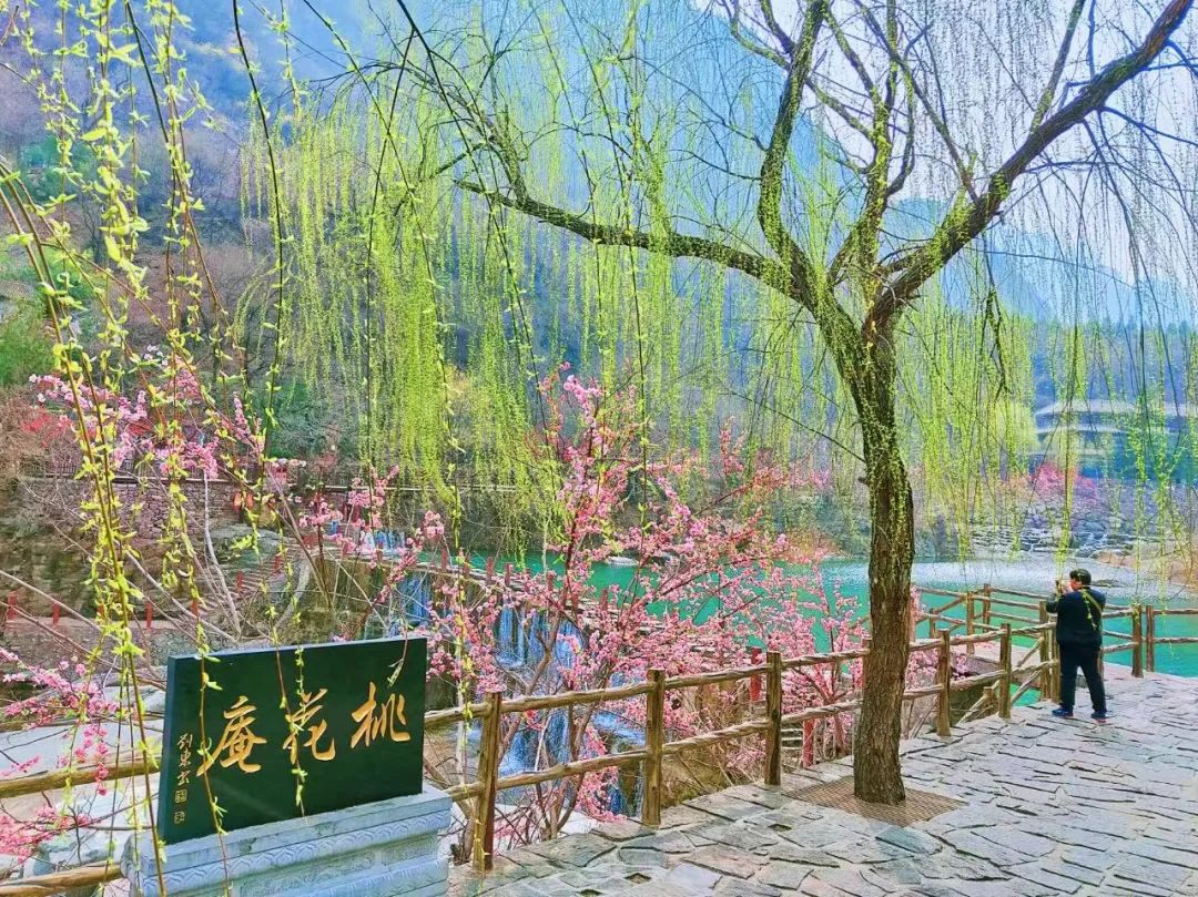 新乡南太行|一卡在手，畅游五大景区，尽享四季美景！