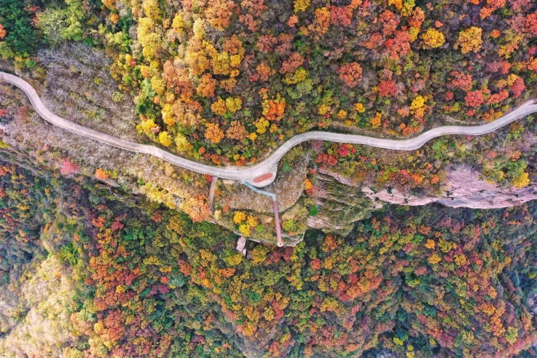 新乡南太行|一卡在手，畅游五大景区，尽享四季美景！
