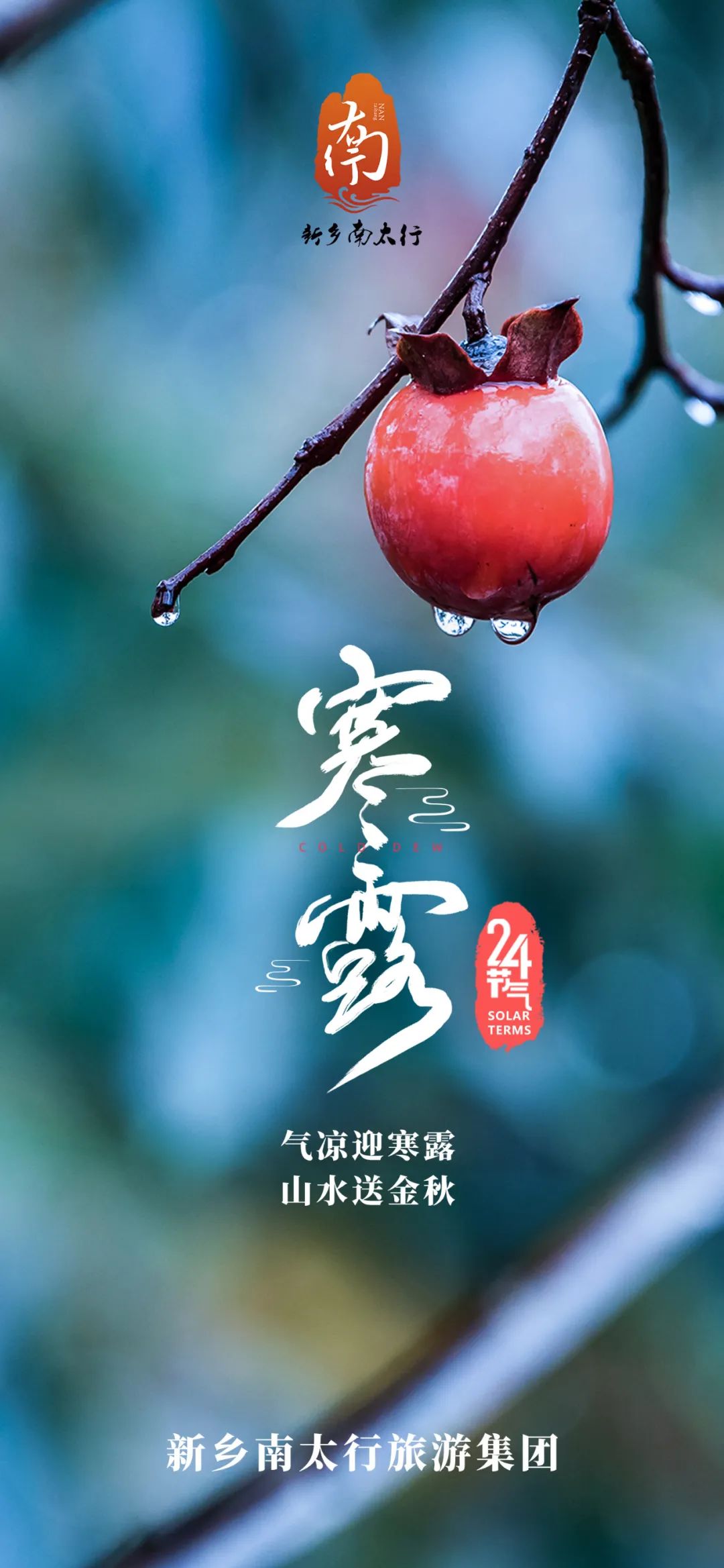 深秋渐至，寒露满枝|带你赏新乡南太行最美秋景