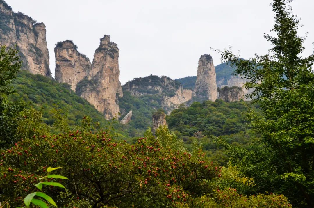 深秋渐至，寒露满枝|带你赏新乡南太行最美秋景
