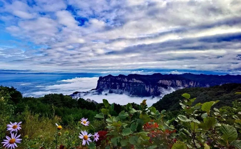 深秋渐至，寒露满枝|带你赏新乡南太行最美秋景