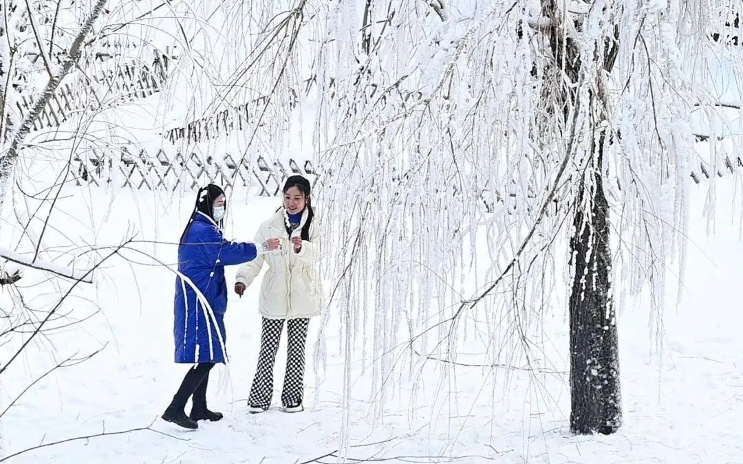 重磅通知 | 新乡南太行八里沟景区开园公告