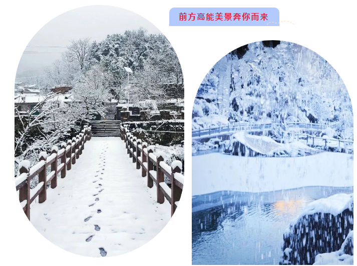 高速正式开通！畅享优惠 尽赏美景！新乡南太行又放大招了！